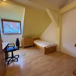 Apartment Spacious 110 M2 With 4 Private Bratislava