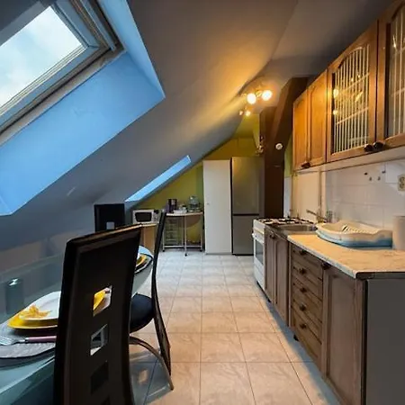 Spacious 110 M2 With 4 Private アパート ブラチスラヴァ