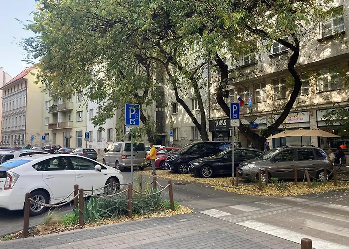 Spacious 110 M2 With 4 Private Apartament