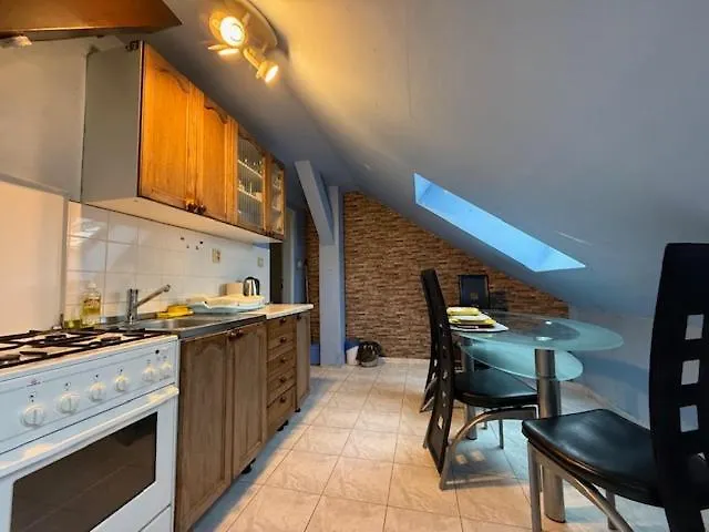 Spacious 110 M2 With 4 Private アパート ブラチスラヴァ