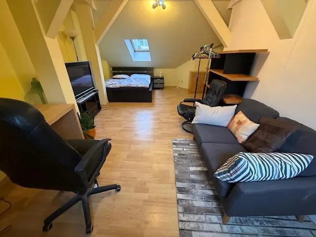 Apartament Spacious 110 M2 With 4 Private