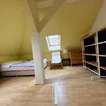 Spacious 110 M2 With 4 Private Μπρατισλάβα