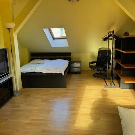 Central Bratislava Spacious 110 M2 Apartment With 4 Private Rooms شقة براتسيلافا