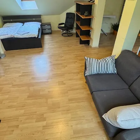 Spacious 110 M2 With 4 Private * Μπρατισλάβα